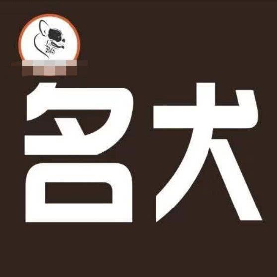 名犬宠物生活馆:泰安市泰山区