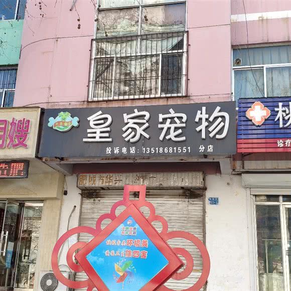 皇家宠物(分店):泰安市肥城市