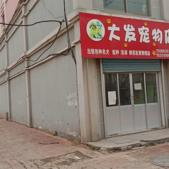 大发宠物店:威海市环翠区