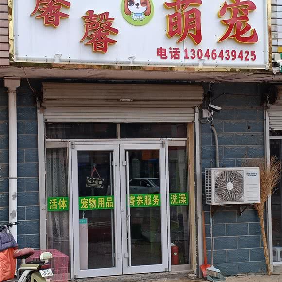 馨馨萌宠:威海市环翠区