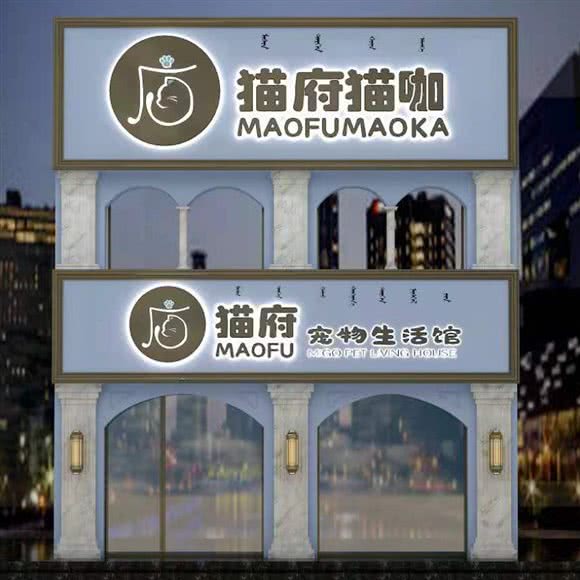 猫府猫咖宠物生活馆:包头市昆都仑区万达附近