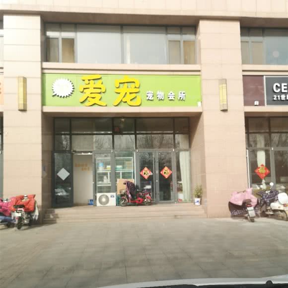 爱宠宠物会所:日照市莒县