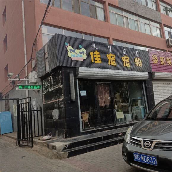 佳宠宠物:包头市昆都仑区包百附近