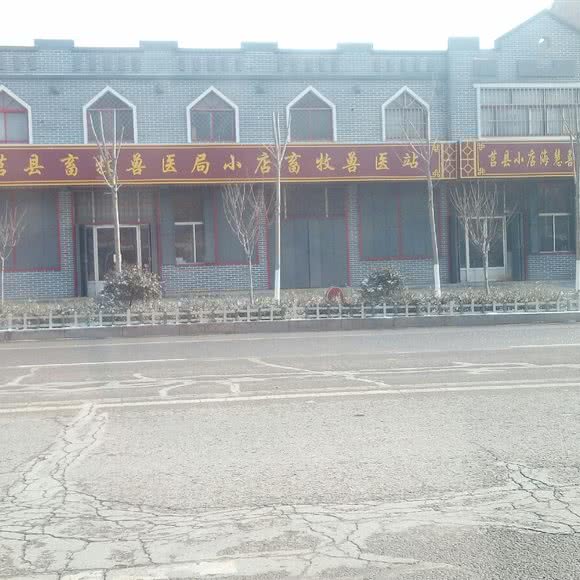 莒县畜牧兽医局小店畜牧兽医站:日照市莒县