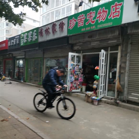 珍茜宠物店:临沂市兰山区