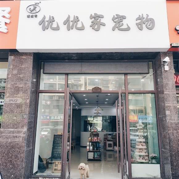 优优家宠物:临沂市兰山区