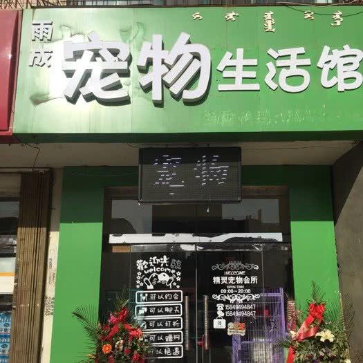 雨成宠物生活馆:包头市昆都仑区包百附近