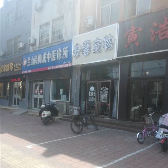 安馨宠物:临沂市兰山区