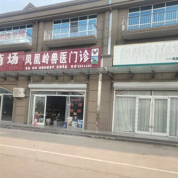 凤凰岭兽医门诊:临沂市河东区