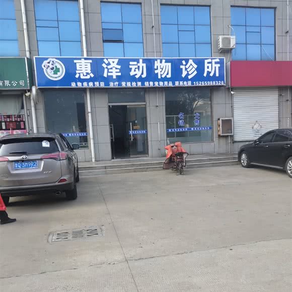 惠泽动物诊所:临沂市河东区