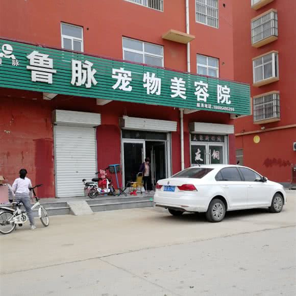 鲁脉宠物美容院:临沂市郯城县