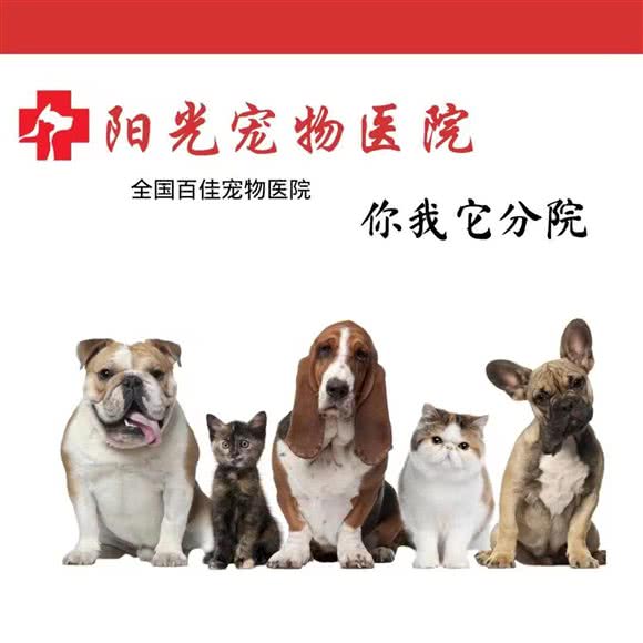 阳光宠物医院·你我它分院:包头市昆都仑区乐园附近