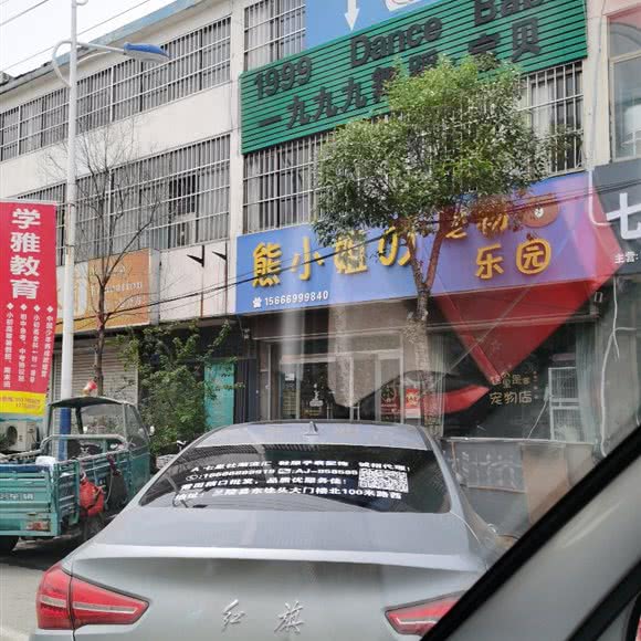 熊小姐の宠物乐园:临沂市兰陵县