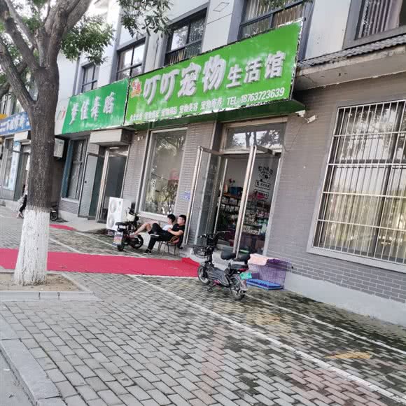 叮叮宠物狗生活馆:临沂市兰陵县