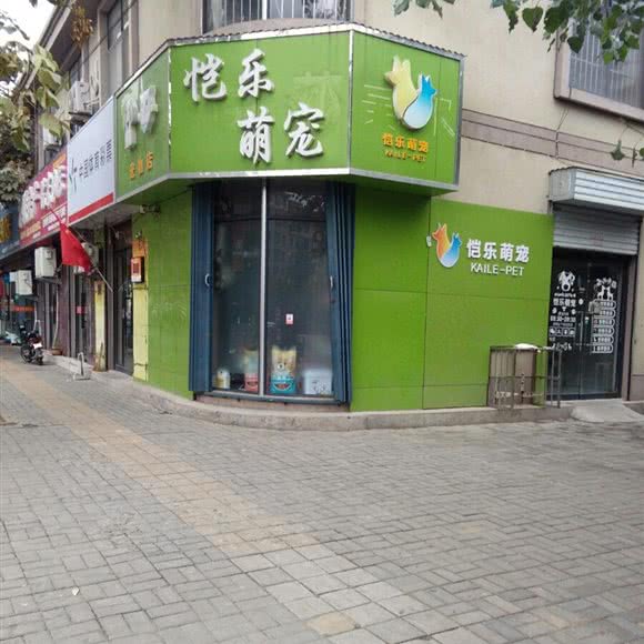 恺乐萌宠:临沂市兰陵县