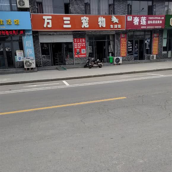 万三宠物:临沂市兰陵县