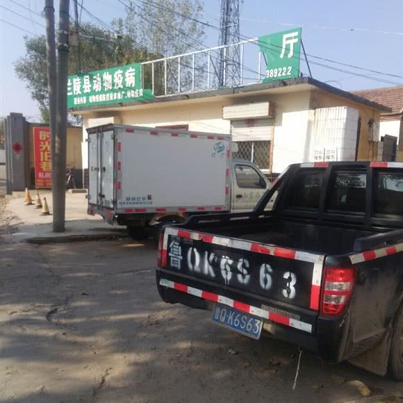 兰陵县动物霍乱:临沂市兰陵县
