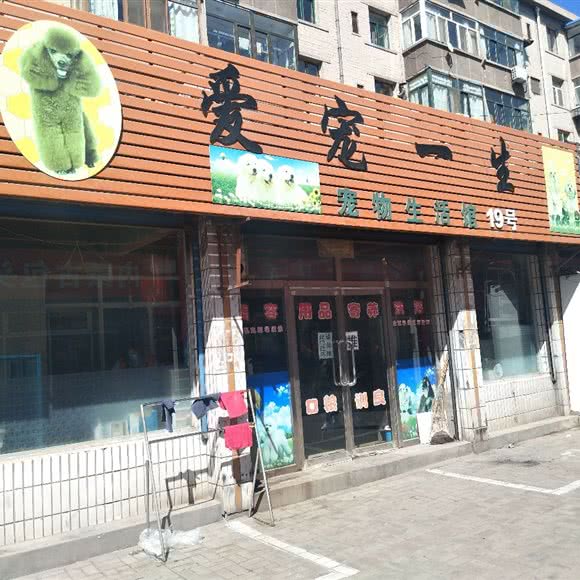 爱宠一生宠物生活馆:包头市昆都仑区昆区华联附近