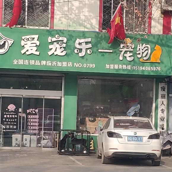 爱宠乐狗狗:临沂市平邑县