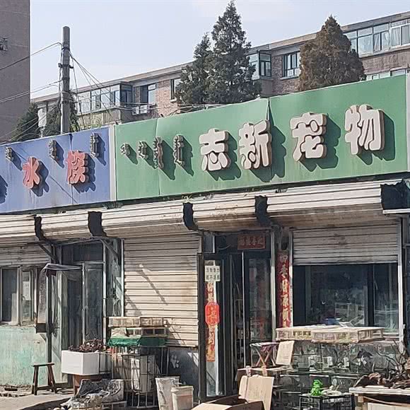 志新宠物:包头市昆都仑区昆区华联附近
