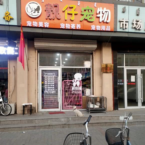 靓仔宠物:包头市昆都仑区昆区华联附近
