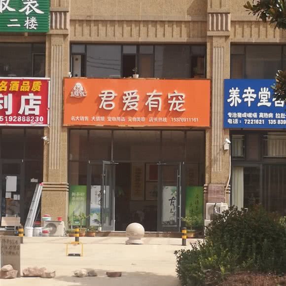 君爱有宠:临沂市莒南县