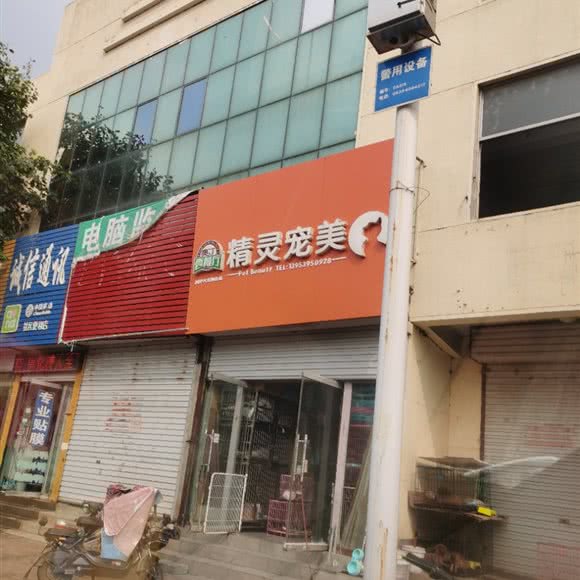 精灵宠美:临沂市临沭县