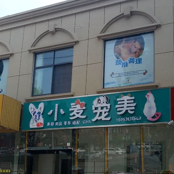 玉米宠美:临沂市临沭县