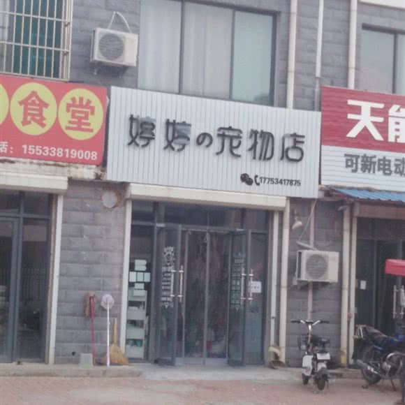 婷婷の宠物店:德州市德城区