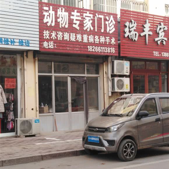 动物专家门诊:德州市陵城区