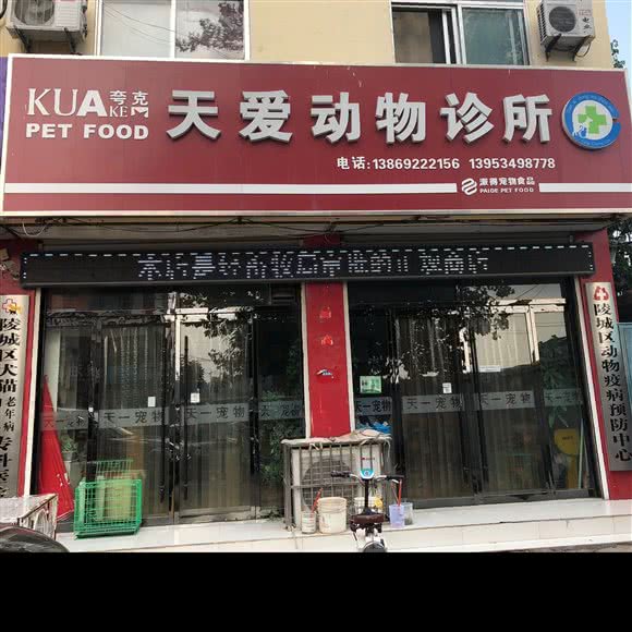 天爱宠物诊所:德州市陵城区