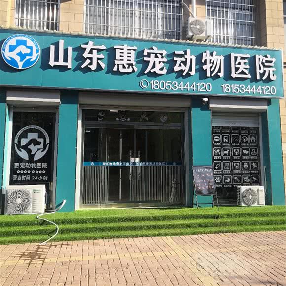 山东惠宠动物医院:德州市临邑县