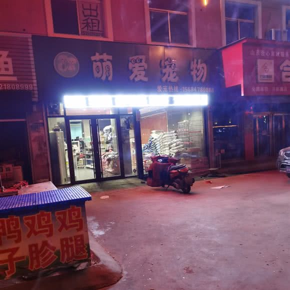 萌爱宠物:德州市禹城市