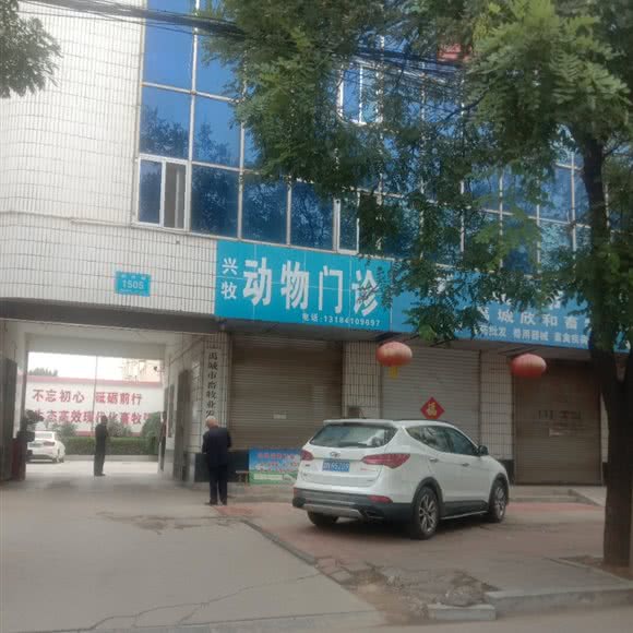 兴牧动物门诊:德州市禹城市