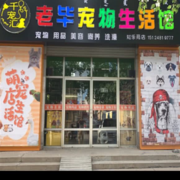 老毕宠物生活馆(知乐苑店):包头市昆都仑区三八路附近