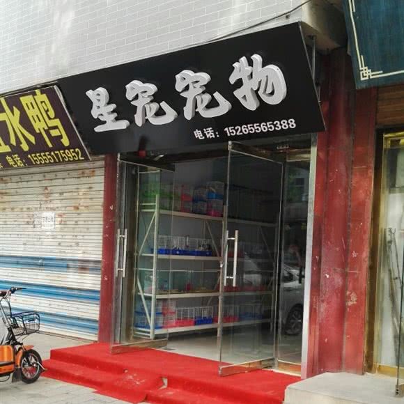 星宠宠物:聊城市阳谷县