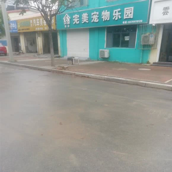 完美宠物乐园:聊城市东阿县