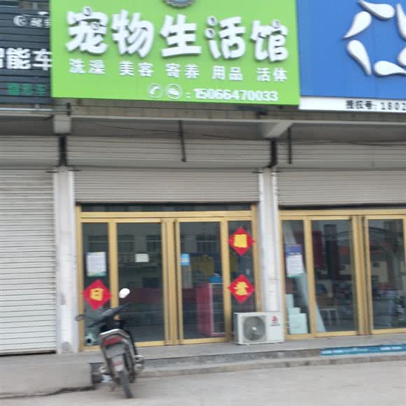 宠物生活馆:聊城市临清市