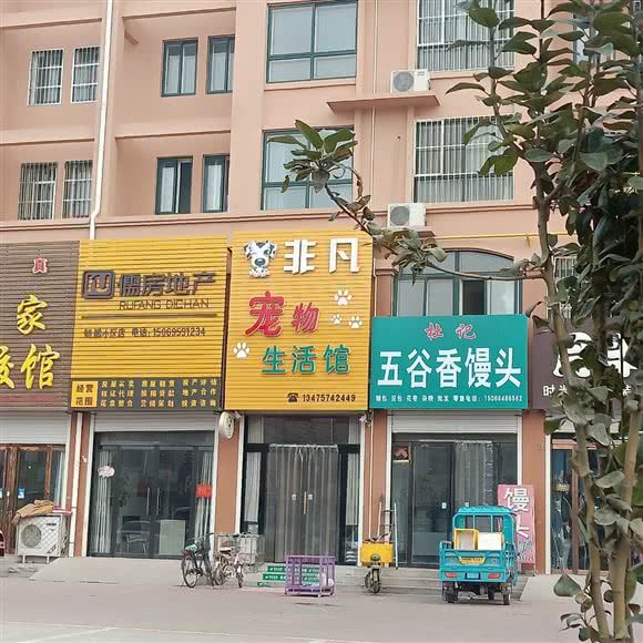 非凡宠物生活馆:聊城市临清市