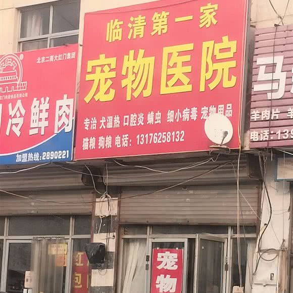 临清第一家宠物医院:聊城市临清市