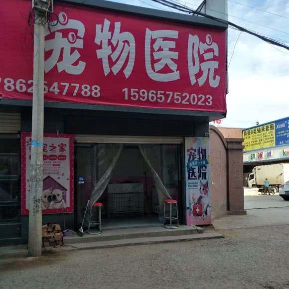 宠物医院:聊城市临清市