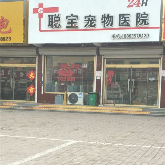 聪宝宠物医院:聊城市临清市