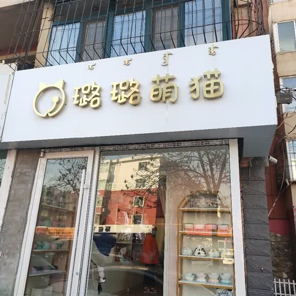 Cat·璐璐萌猫:包头市昆都仑区花苑附近