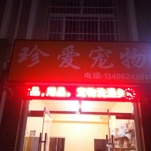 珍爱宠物:滨州市滨城区