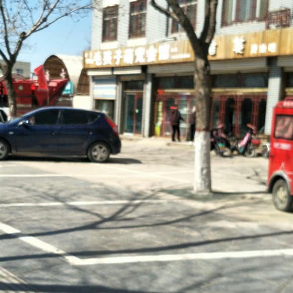 毛孩子萌宠家园:滨州市惠民县