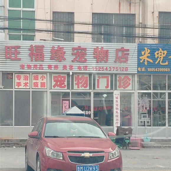 旺福缘宠物店·治疗寄养美容:滨州市博兴县