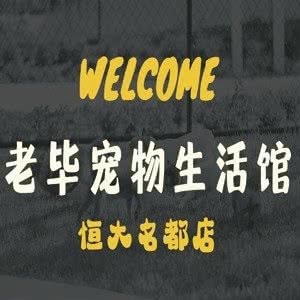 老毕宠物用品连锁(恒大库房店):包头市昆都仑区恒大名都附近