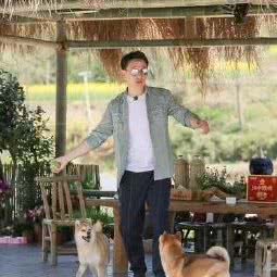 雷泽国际犬舍:菏泽市牡丹区