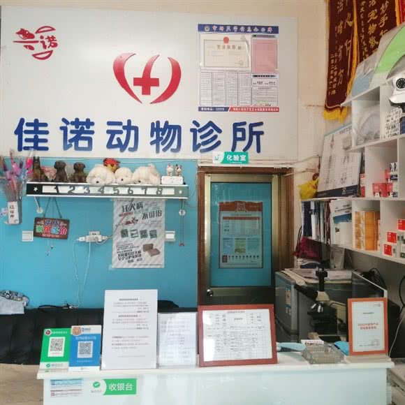 佳诺动物诊所:菏泽市牡丹区