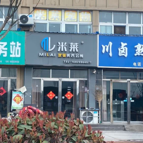 米莱宠物美容会所:菏泽市曹县